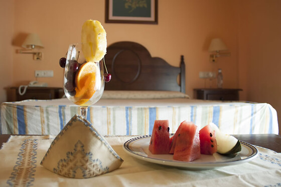 HOTEL ASADOR ALBENZAIRE - photo 5