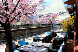 ACTA ARTHOTEL Q 4*