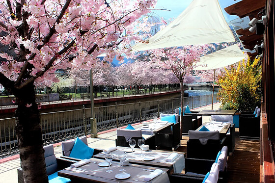 ACTA ARTHOTEL Q 4* - photo 64