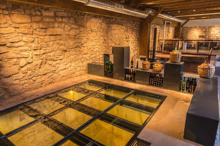 Una visita a la bodega con cata de vino y degustación para 2 en Bodegas Tritium en Cenicero (La Rioja)