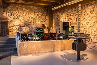 Una visita a la bodega con cata de vino y degustación para 2 en Bodegas Tritium en Cenicero (La Rioja)