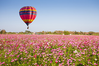 Vuelo en globo premium