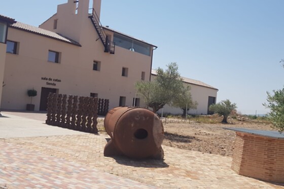 OLIVARES DE ALTOMIRA - photo 2