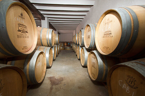 Una visita a la bodega y los viñedos seguida de cata de 3 vinos con aperitivo para 2 en Bodega Vera de Estenas en Utiel (Valencia)