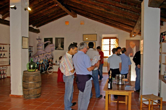 Una visita a la bodega y los viñedos seguida de cata de 3 vinos con aperitivo para 2 en Bodega Vera de Estenas en Utiel (Valencia)