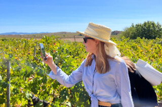 Una visita a la bodega y los viñedos seguida de cata de 3 vinos con aperitivo para 2 en Bodega Vera de Estenas en Utiel (Valencia)