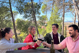 Una visita a la bodega y los viñedos seguida de cata de 3 vinos con aperitivo para 2 en Bodega Vera de Estenas en Utiel (Valencia)