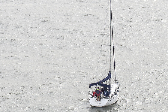 Una experiencia de navegación para grupo en Sailing and wine en Getxo (Vizcaya)