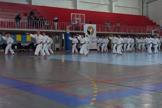 Ippon Karate Portugal - photo 3