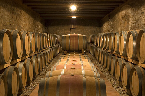 CELLER JOSEP FORASTER - photo 5