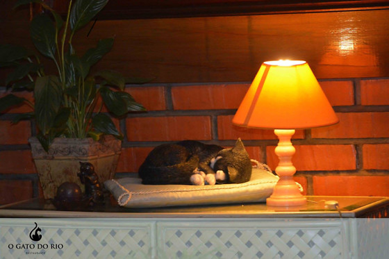 O Gato do Rio - photo 12