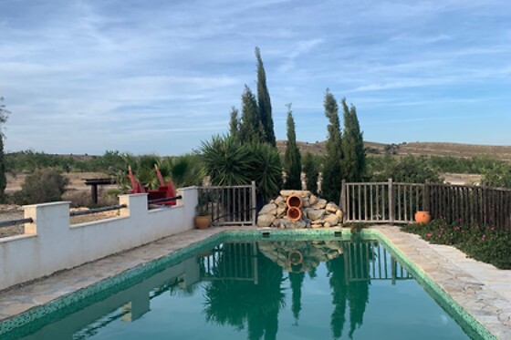 FINCA EL POCICO - photo 56