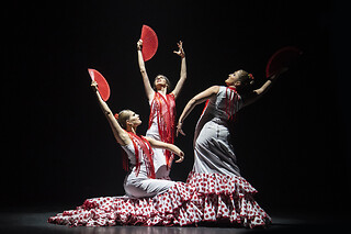 Dos entradas de adulto con consumición para Experiencia Premium en Teatro Flamenco Barcelona, en Barcelona