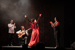 Dos entradas de adulto con consumición para Experiencia Premium en Teatro Flamenco Barcelona, en Barcelona
