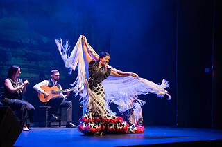 Dos entradas de adulto con consumición para Experiencia Premium en Teatro Flamenco Barcelona, en Barcelona