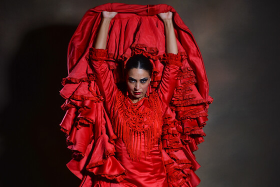 TEATRO FLAMENCO BARCELONA - photo 4