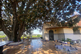 CASA MAGNOLIA ALQUERIA