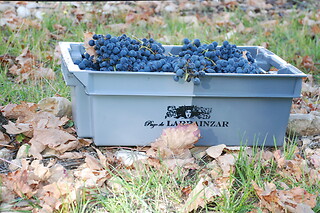 Una visita a bodega con cata para 2 en Bodegas Pago de Larrainzar en Ayegui (Navarra)