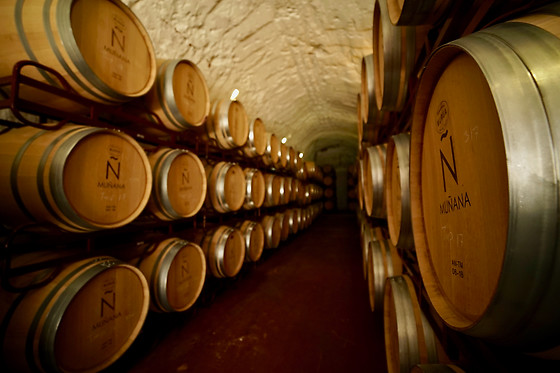 BODEGAS MUÑANA - photo 3