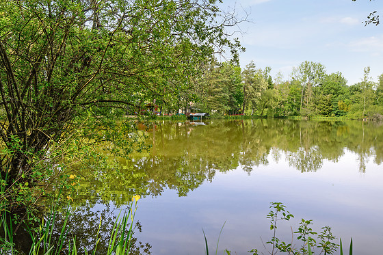 Etang des fontenils - photo 6