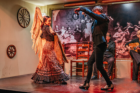 Un show flamenco con cocktail para 1 en Tablao Flamenco La Cantaora en Sevilla