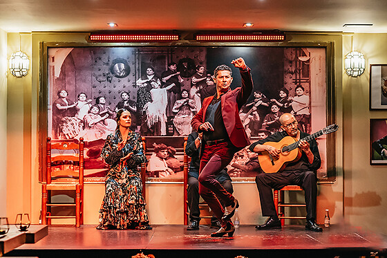 Un show flamenco con cocktail para 1 en Tablao Flamenco La Cantaora en Sevilla