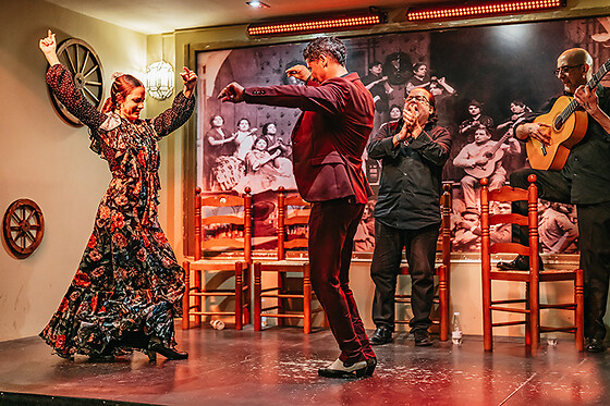 Un show flamenco con cocktail para 1 en Tablao Flamenco La Cantaora en Sevilla