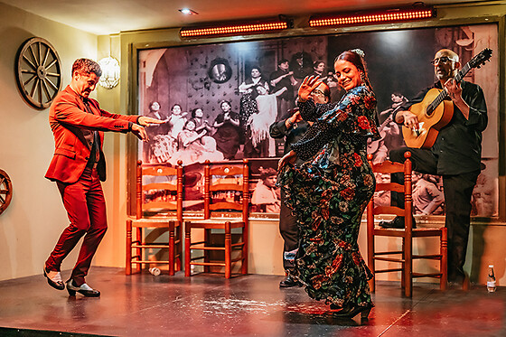 Un show flamenco con cocktail para 1 en Tablao Flamenco La Cantaora en Sevilla