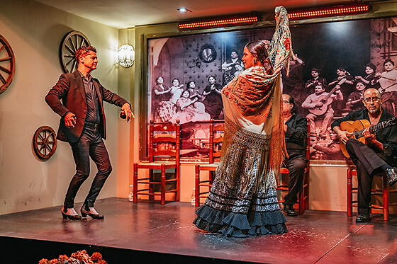 Un show flamenco con cocktail para 1 en Tablao Flamenco La Cantaora en Sevilla