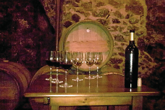 CASA RURAL MAGNANIMVS - photo 9