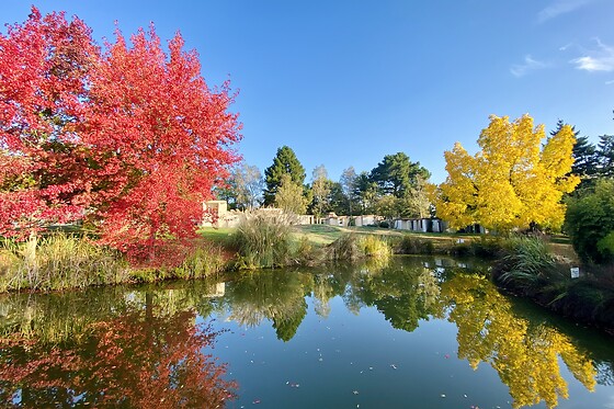 Les Jardins de l'Anjou - photo 19