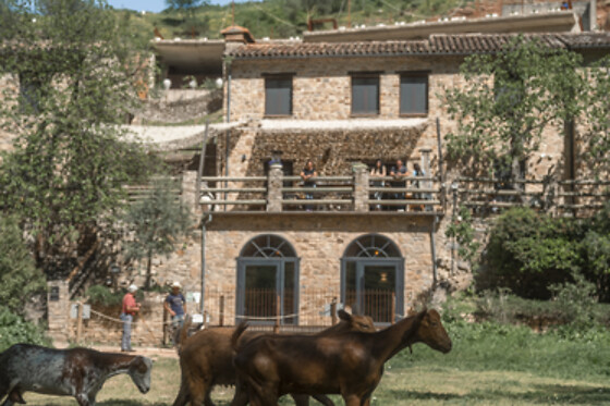 Una noche en habitación premium con taller de cerámica para 2 en Eco Hotel Cueva del Gato en Ronda (Málaga)