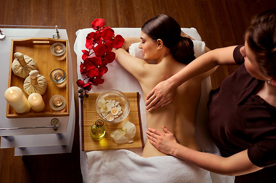 Natural Spa Institut Grand Plaisir - photo 9